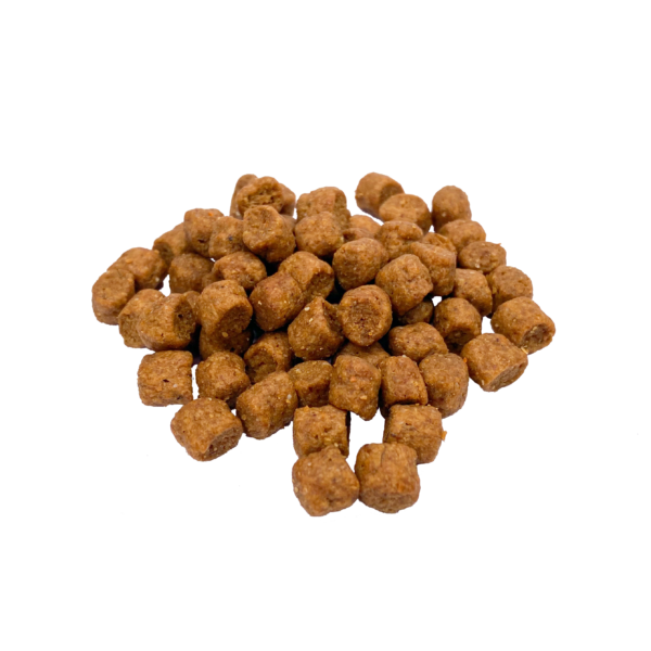 Beefpro Puppy Formula Dog Food Caminade