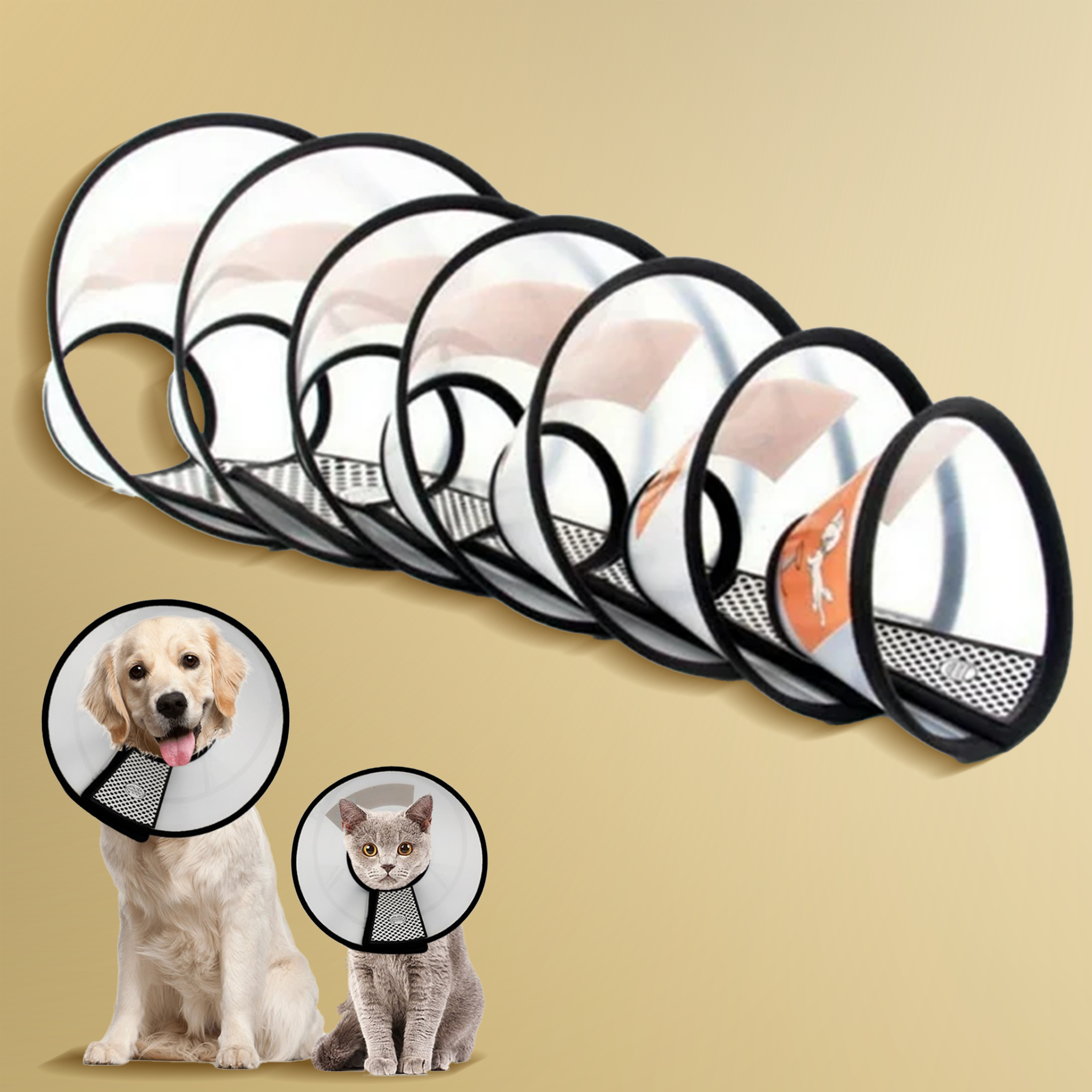 pet elizabethan collar